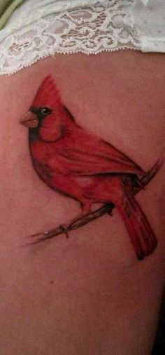 a red bird sitting on top of a woman's back side ribcage