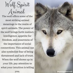 a wolf spirit animal poem with an image of it's face and the words, wolf spirit animal