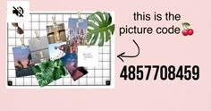 there is a pink wall with pictures on it and the words, this is the picture code