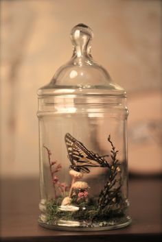 a glass jar with some plants inside of it