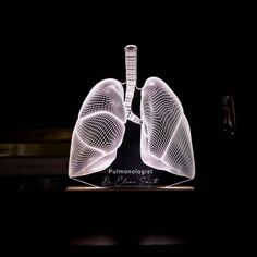 an illuminated model of the lungs is shown