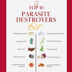 TOP 10 PARASITE DESTROYERS are Pumpkin Seeds, Oregano Oil, Clove Oil, Black Walnut, Grapefruit Seed Extract, Diatomaceous Earth, Olive Leaf Extract, Wormwood, Garlic & Onion and Ground Papaya Seeds. We all carry parasites in our guts and illness is usually a result of PARASITE overload. Here at The Natural Marketplace, we carry a variety of PARASITE CLEANSES that include many of these ingredients. Drop in today and check out our selection! Essential Oil Parasite Cleanse, Black Walnut Parasite Cleanse, Diatomaceous Earth Parasite Cleanse, Herbs For Parasite Cleanse, Papaya Seeds For Parasites, Olive Leaf Extract, Herbal Remedies Recipes, Papaya Seeds, Parasite Cleanse