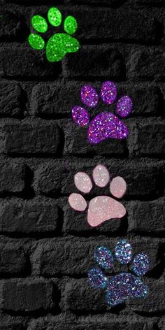 the paw prints are painted on a brick wall with green and purple glitters in different colors