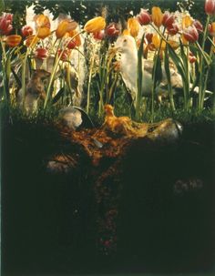 two birds are sitting in the middle of a field of tulips and other flowers