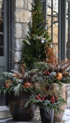 two potted plants with pine cones and berries are on the front steps of a house