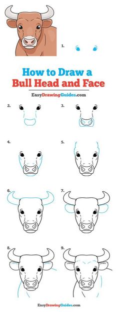 how to draw a bull's head and face with easy step by step instructions