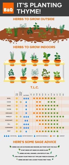 an info sheet with plants growing in pots