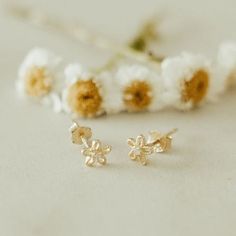 The Flower Mini Studs are the perfect, dainty earring that goes with everything! They are gold vermeil and are hypoallergenic, tarnish and wear resistant, and perfect for sensitive ears. They measure a dainty 5mm and are perfect for a first piercing or as a second/third piercing. Mauve Jewelry, First Piercing, Third Piercing, Mini Studs, Dainty Earrings, Sensitive Ears, Shop Necklaces, Gold Vermeil, Shop Earrings