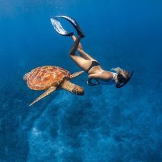 a woman is swimming with a turtle in the ocean while wearing a mask and snorkels