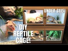 the reptile cage is under $ 15