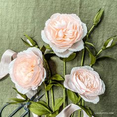 three pink flowers with green leaves and scissors