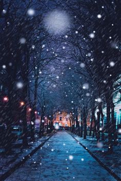 a snowy night in the city with snow falling down on trees and street lights lit by street lamps