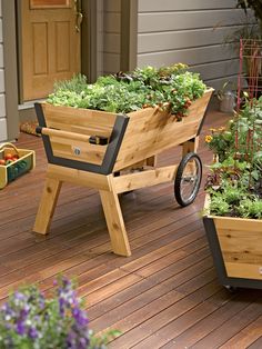 a wheelbarrow filled with lots of plants on top of a wooden deck next to potted plants