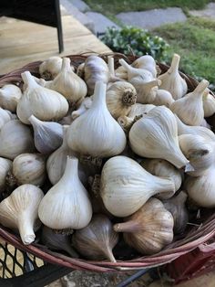 a basket filled with lots of garlic on top of a wooden table next to grass