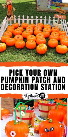 pumpkin patch and decoration station for kids