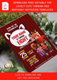 a birthday party flyer with an image of children's movie characters on the front