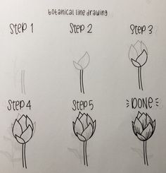 how to draw flowers step by step for beginners