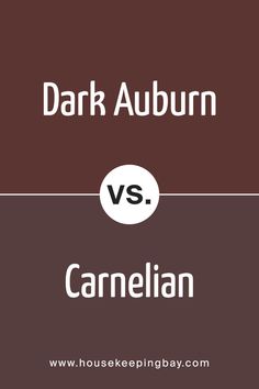 Dark Auburn SW 6034 by Sherwin Williams vs Carnelian SW 7580 by Sherwin Williams Different Vibes, Red Paint Colors, Dark Auburn, Green Palette, Paint Swatches, Red Paint, Color Tile, Coordinating Colors