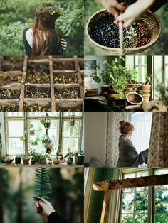 a collage of photos with plants and people