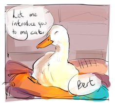 a white duck sitting on top of a bed next to a speech bubble that says let me introduce you to my cat