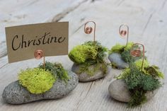 three small rocks with moss growing on them and a sign that says, chrstine