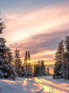 the sun is setting on a snowy road with trees in the foreground and snow covered ground