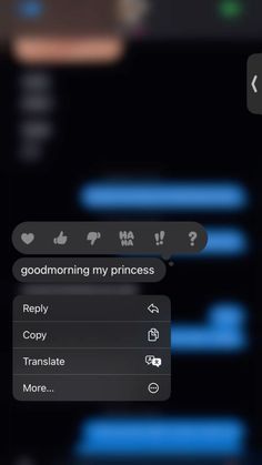 an iphone screen with the text good morning my princess and two other texts on it