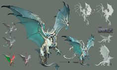 some type of dragon with different wings and body shapes, including the head and tail