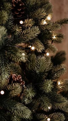 a close up of a christmas tree with lights