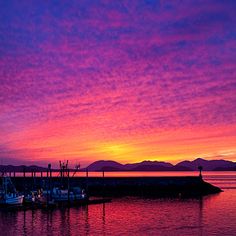 boats are docked in the water at sunset