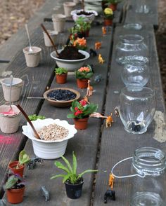 a long wooden table topped with lots of potted plants next to small plastic animals