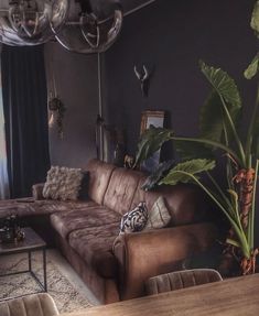 a living room filled with furniture and a large plant in the middle of the room