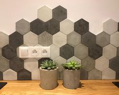 two potted plants sit on a table in front of a wall with hexagonal tiles