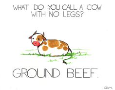 a drawing of a brown and white cow laying down in the grass with text that reads, what do you call a cow with no legs? ground beef