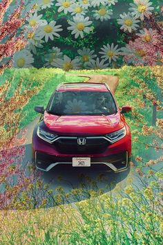 a red car is parked in front of some daisies and other wildflowers