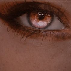 a woman's brown eye with long lashes