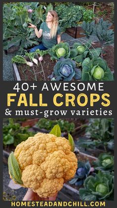 a person holding up a cauliflower in their hand with the words, 40 awesome fall crops and must - grow varieties