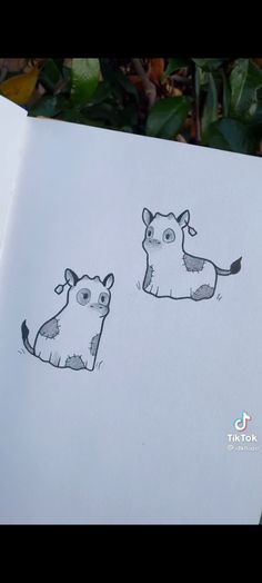 an open book with two drawings of animals on it's pages and one drawing of a cow