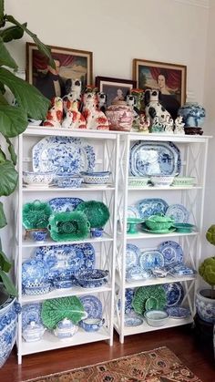 a white shelf filled with lots of blue and white plates next to a potted plant