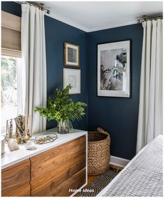 a bedroom with blue walls and white drapes on the windowsill, a large plant in a wicker basket