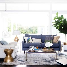 a living room filled with furniture and a large plant in the middle of the room