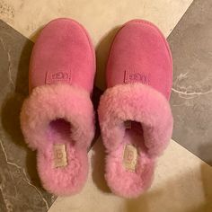 Brand New Ugg Cozy Slippers Shoes In Echinacea Pink Size Women’s 9 The Most Adorable Bubble Gum/Dark Pink Color Magenta Color! Sold Out No Box Or Tags Included - Never Been Worn Though And Are Blemish Free Will Ship Next Business Day This Smart Suede Slipper Is Stamped With A Classic Tonal Logo Patch At The Vamp Trimmed With Plush Genuine Shearling. The Soft, Cozy Lining Is Made From Luxe Uggplush, A Moisture-Wicking Textile Made From A Wool-Rich Blend But Crafted To Feel And Wear Like Genuine S Pink Leather Casual Slippers, Casual Pink Leather Slippers, Ugg Cozy Slippers, Dark Pink Color, Cozy Slippers, Shoes Ugg, Magenta Color, Free Will, Color Magenta