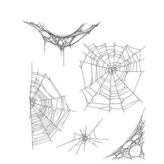 four spider webs are shown in black and white