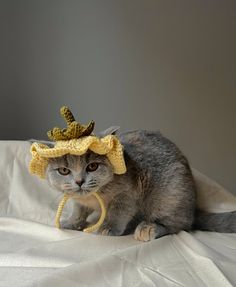 a gray cat wearing a yellow hat on top of a white bed sheet and looking at the camera