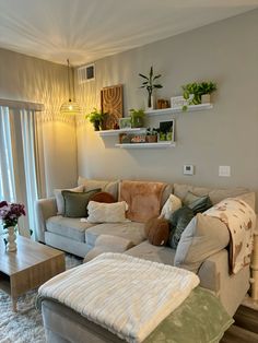 a living room filled with furniture and lots of plants on top of the windowsill