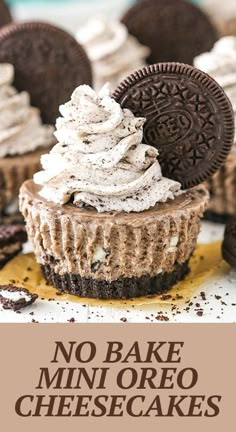 no bake mini oreo cheesecakes on a plate with the words, no bake mini oreo cheesecakes