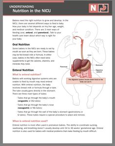 an info sheet describing the functions of the human body and how to use it in order to