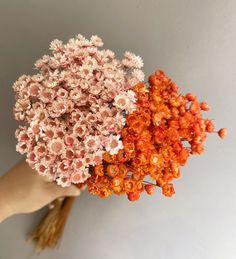 a person holding flowers in their hand on a white wall behind them is a vase with pink and orange flowers