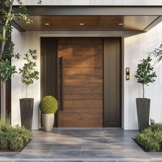 the entrance to a modern home with potted plants on either side and large wooden door