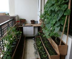 several plants are growing in wooden containers on the balcony area, while another planter is placed next to it